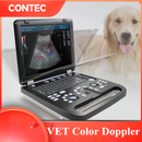 Veterinary Color Doppler Ultrasound with Convex Probe CF/PW