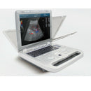Veterinary Color Doppler Ultrasound with Convex Probe CF/PW