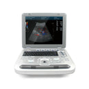 Veterinary Color Doppler Ultrasound with Convex Probe CF/PW