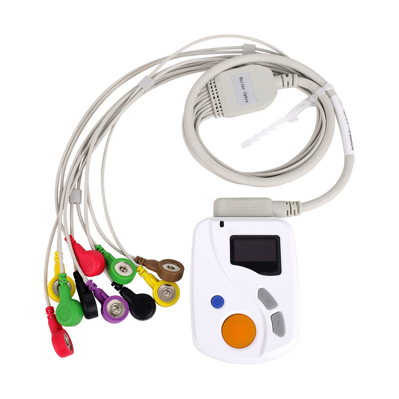 24 hour ECG (Holter) monitoring
