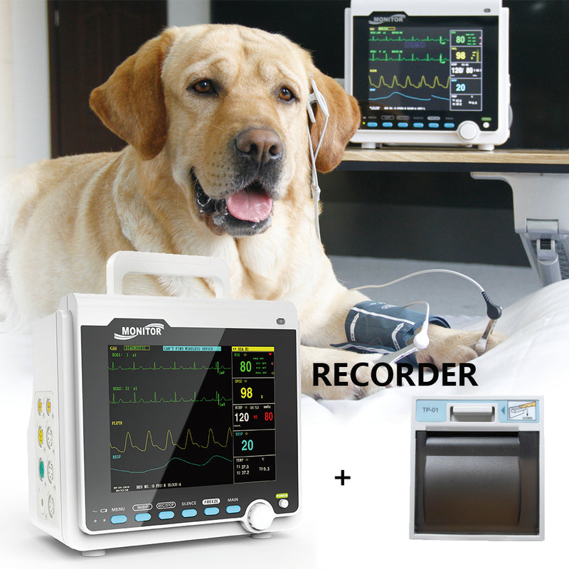 CONTEC 8" color Patient Monitor CMS6000 VET ICU CCU Vital Signs ECG,NIBP,SPO2,PR,TEMP