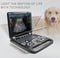 Veterinary Color Doppler Ultrasound with Convex Probe CF/PW